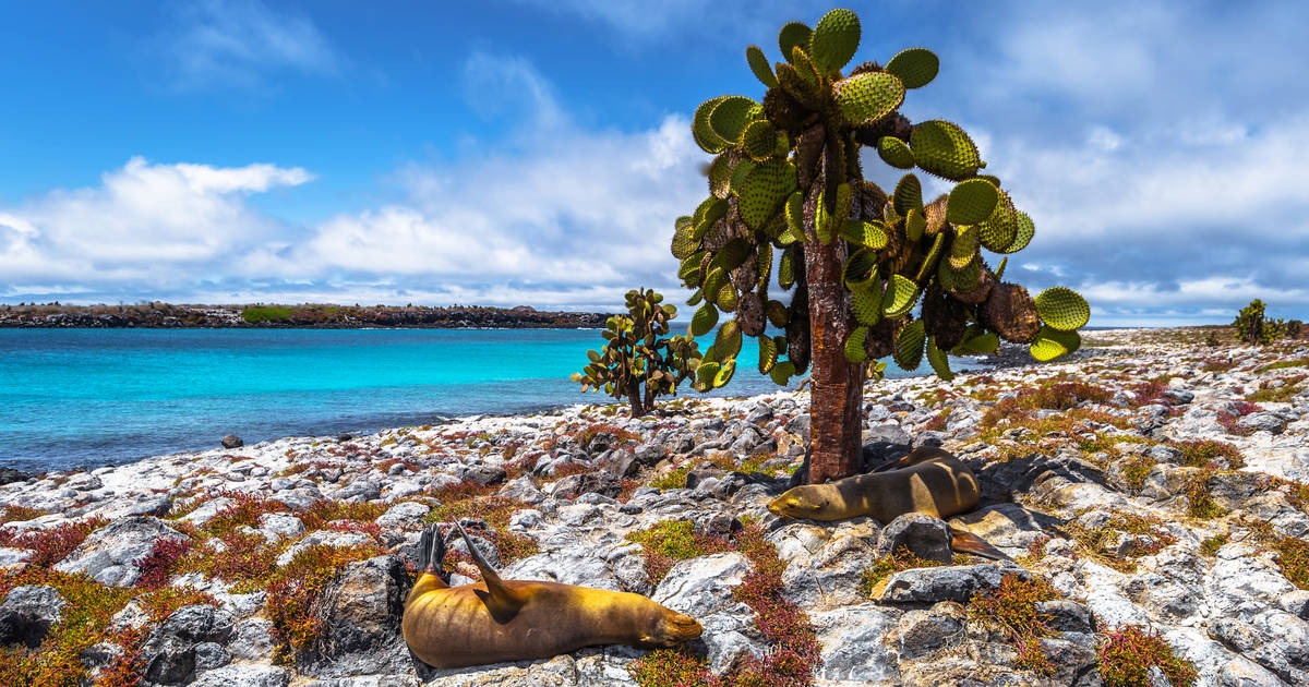 Galapagoseilanden | Ecuador Reizen | Tico Reizen