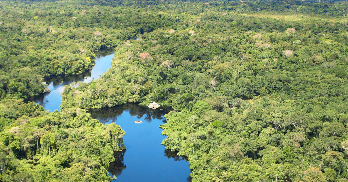 brazilie costa rica cristalino lodge amazonegebied brazili 235 tico reizen brazilie costa rica cristalino lodge amazonegebied brazili 235 tico reizen