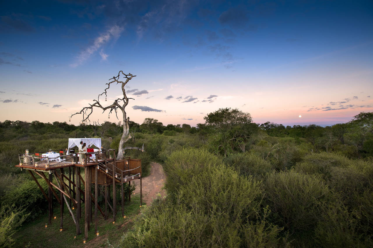 chalkley_treehouse-_Luxury_Treehouse_-_Lion_Sands